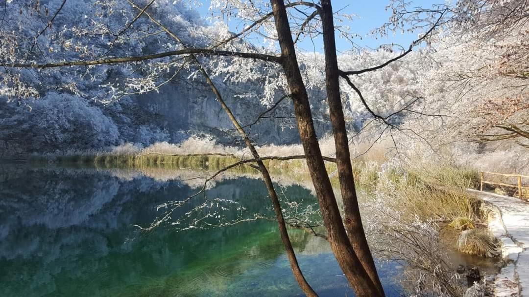 Plitvice Story Lejlighed Plitvička Jezera Eksteriør billede